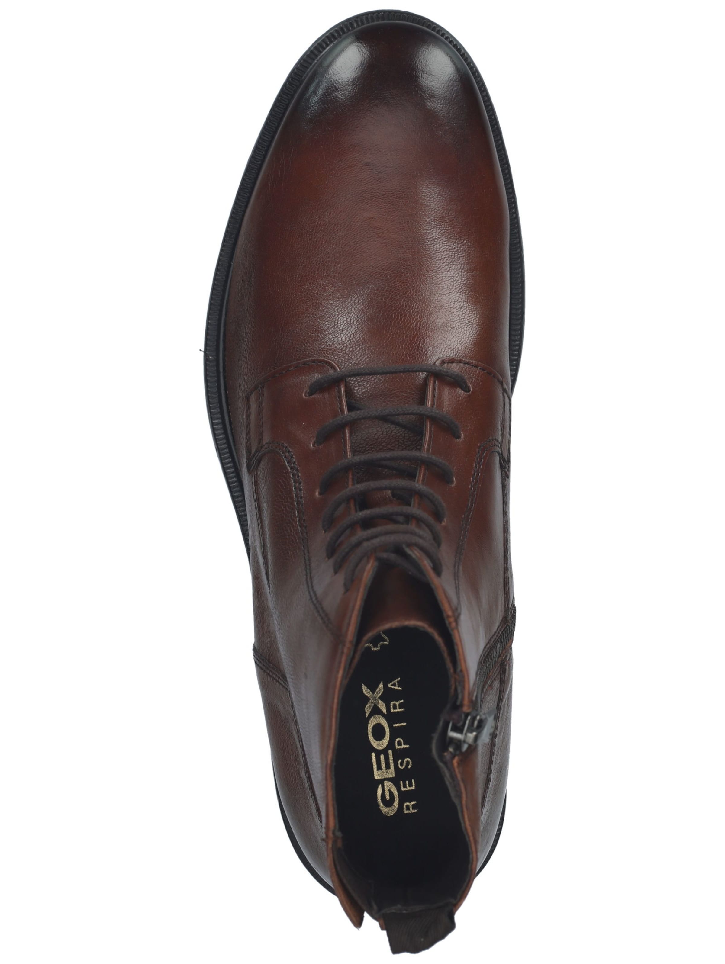 Boots stringati 'Terence' di GEOX in marrone
