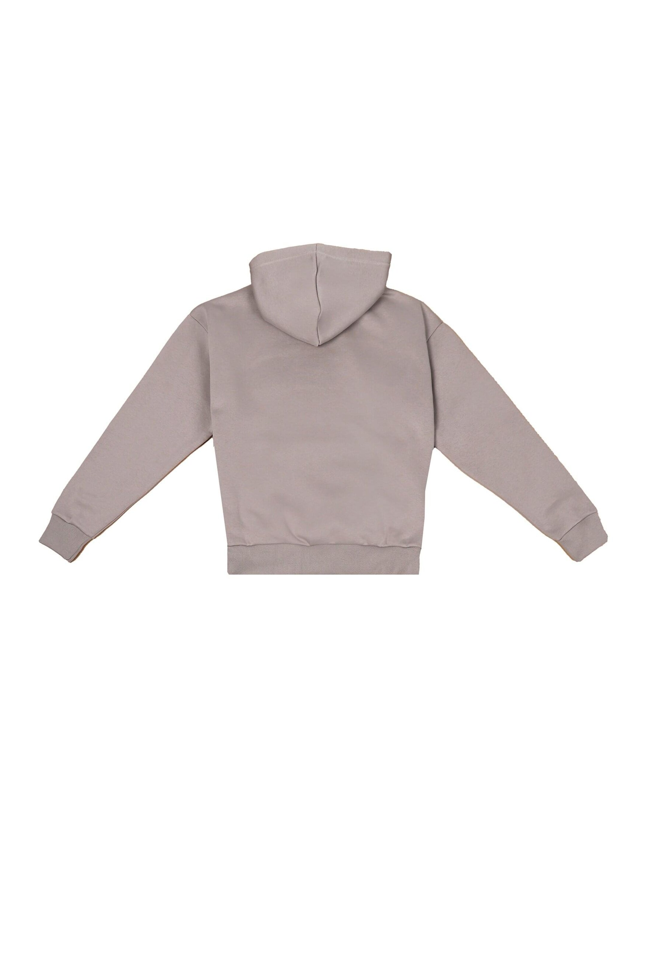 Dropsize Sweatshirt 'EMBO' in Grau