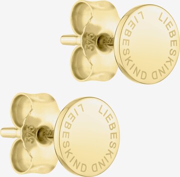 Liebeskind Berlin Earrings in Gold: front