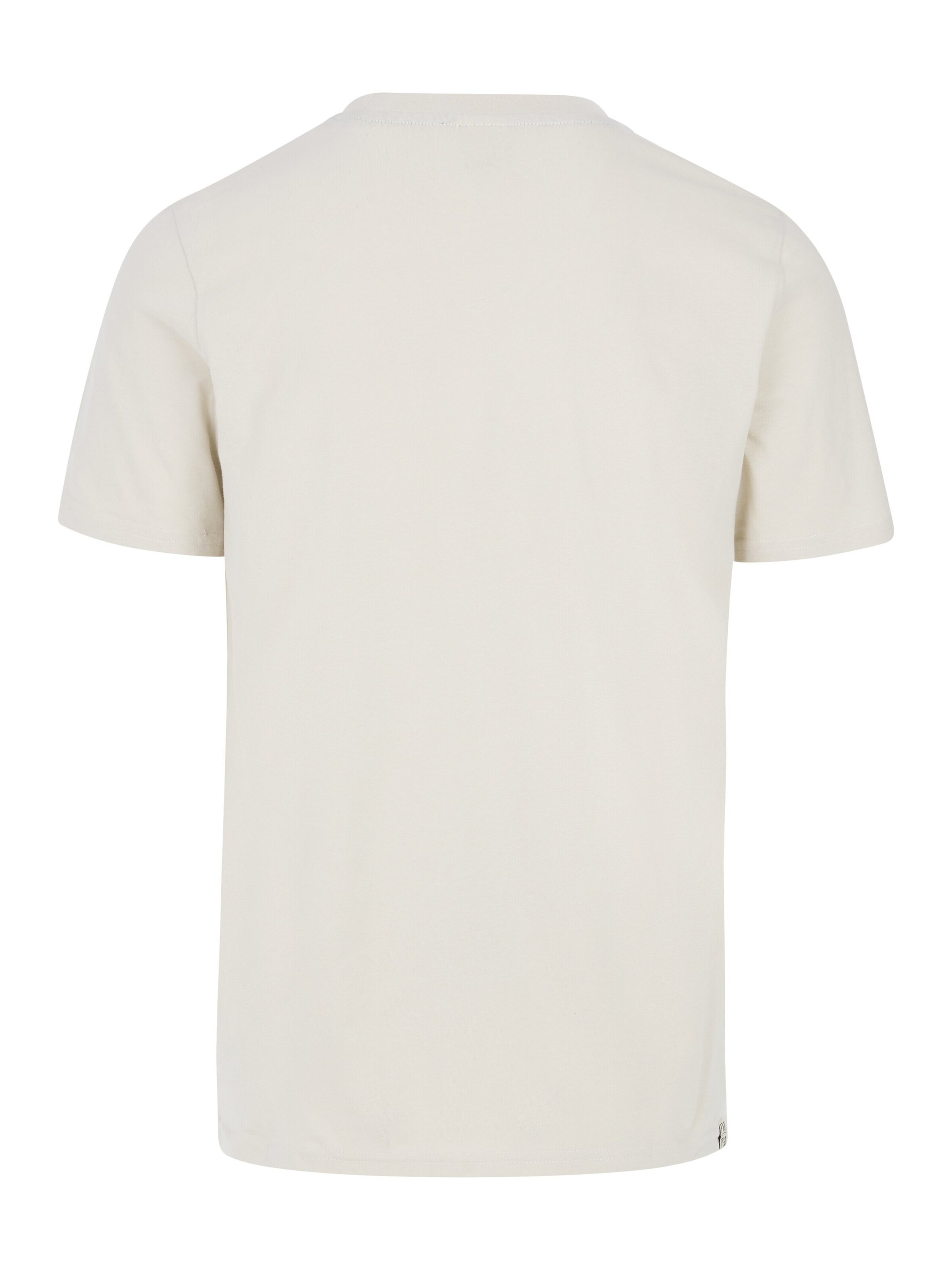 PROTEST Shirt 'PRTBarn' in White