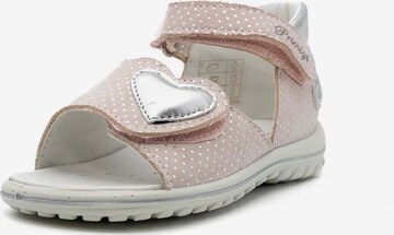 Chaussures ouvertes PRIMIGI en rose : devant