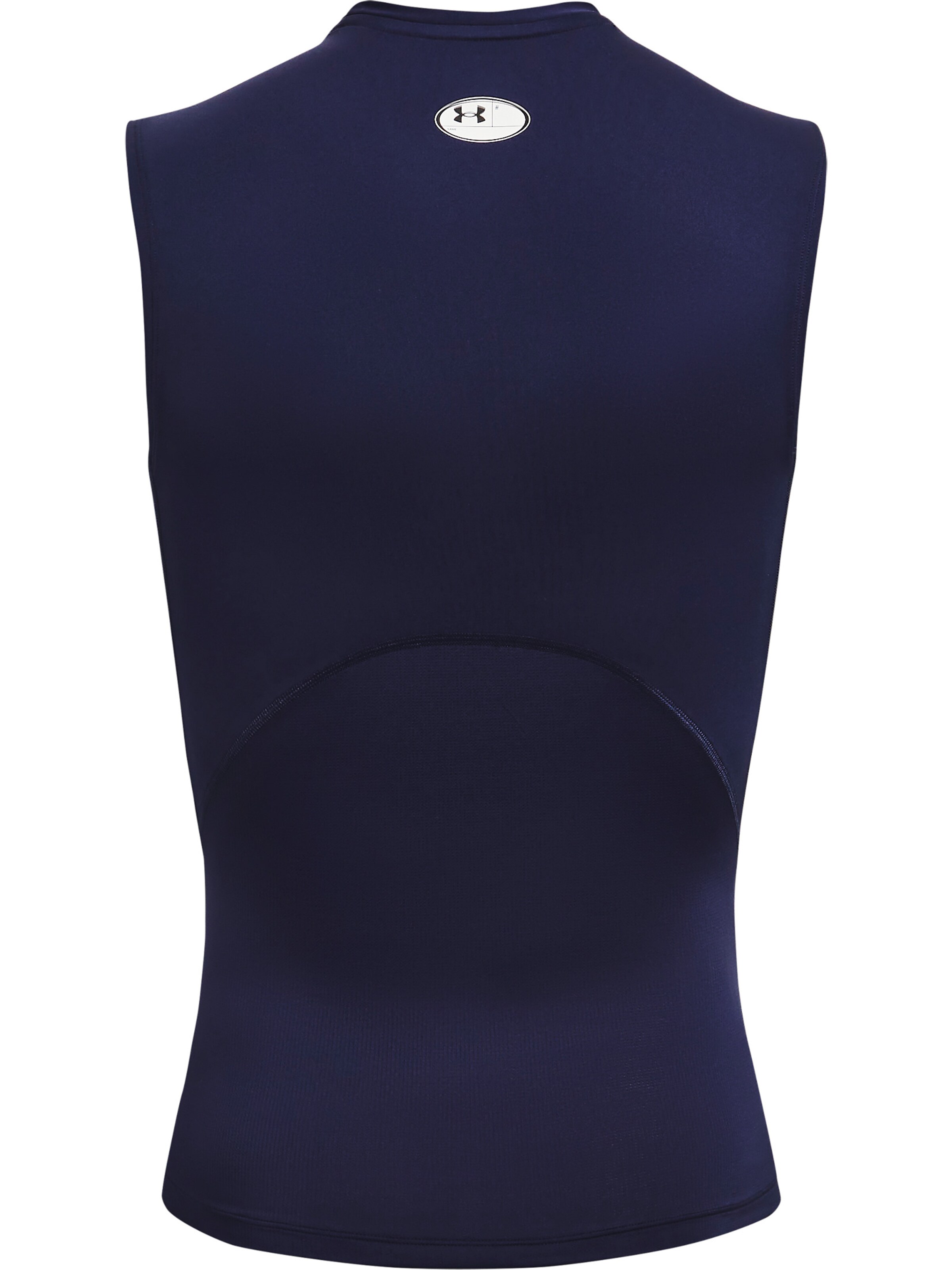 UNDER ARMOUR Regular Fit Funktionsshirt in Blau