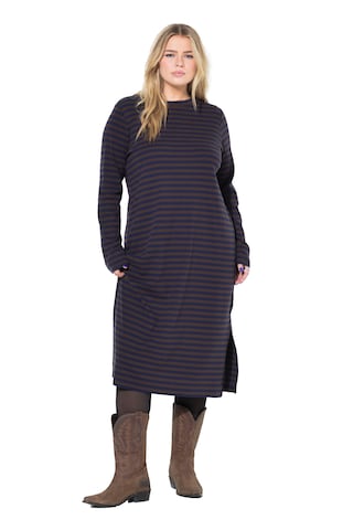 Studio Untold Kleid in Blau: Vorderseite