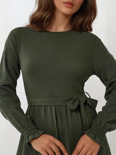 Hiccup Vestido em oliveira, Vista do artigo