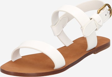 Sandale de la Polo Ralph Lauren pe alb: față