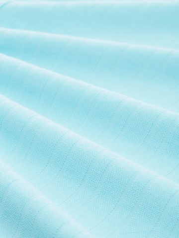 TOM TAILOR Poloshirt in Blau