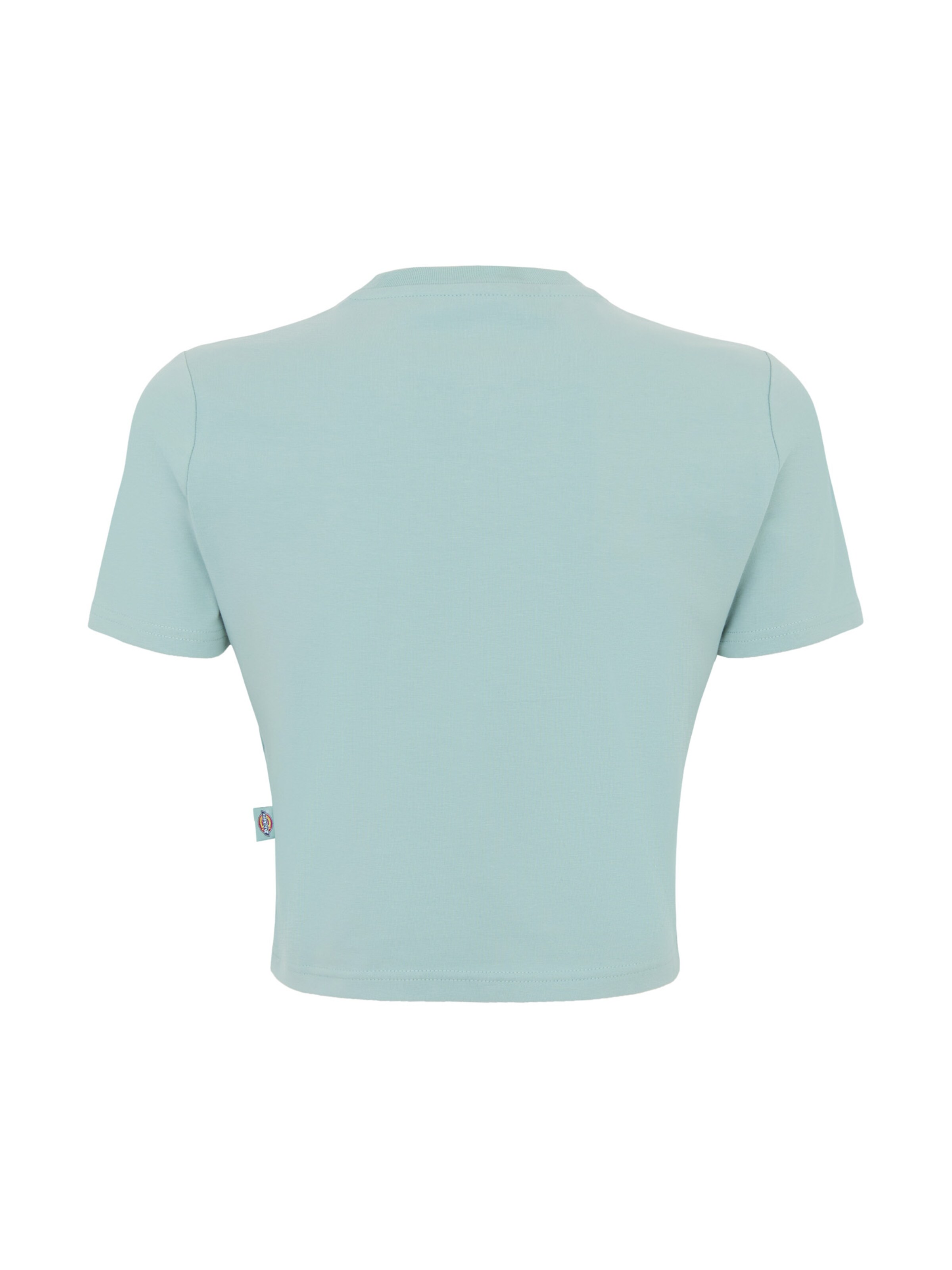 Maglietta 'MAPLE VALLEY' di DICKIES in blu