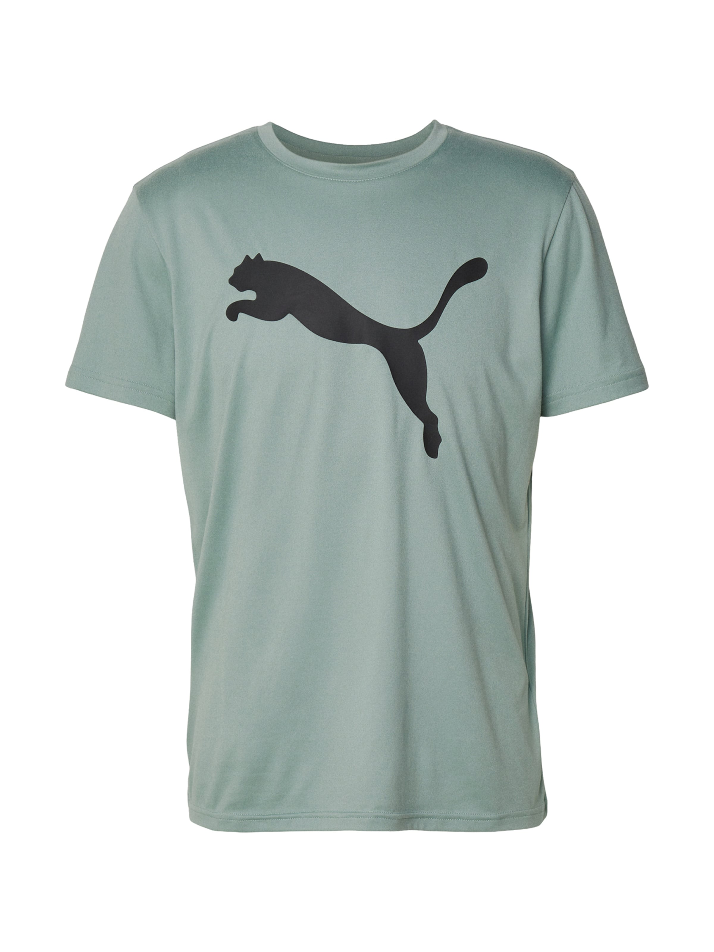 PUMA Performance Shirt 'Tad Essentials' in Green: front