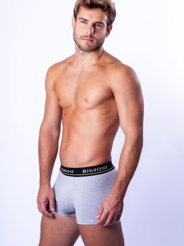 BIMONI Boxer shorts in Grey