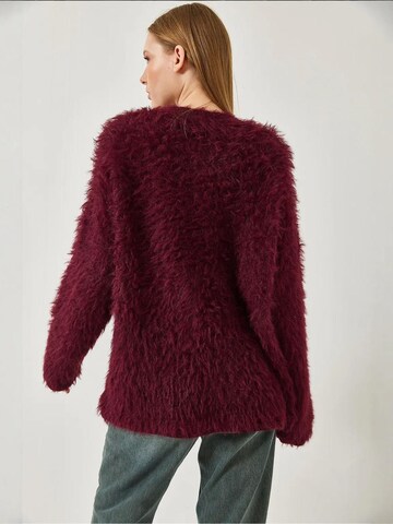 Bianco Lucci - Pullover 'Pullover' em vermelho