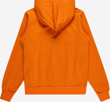 D-XEL Sweatshirt 'EDOUARD' i oransje