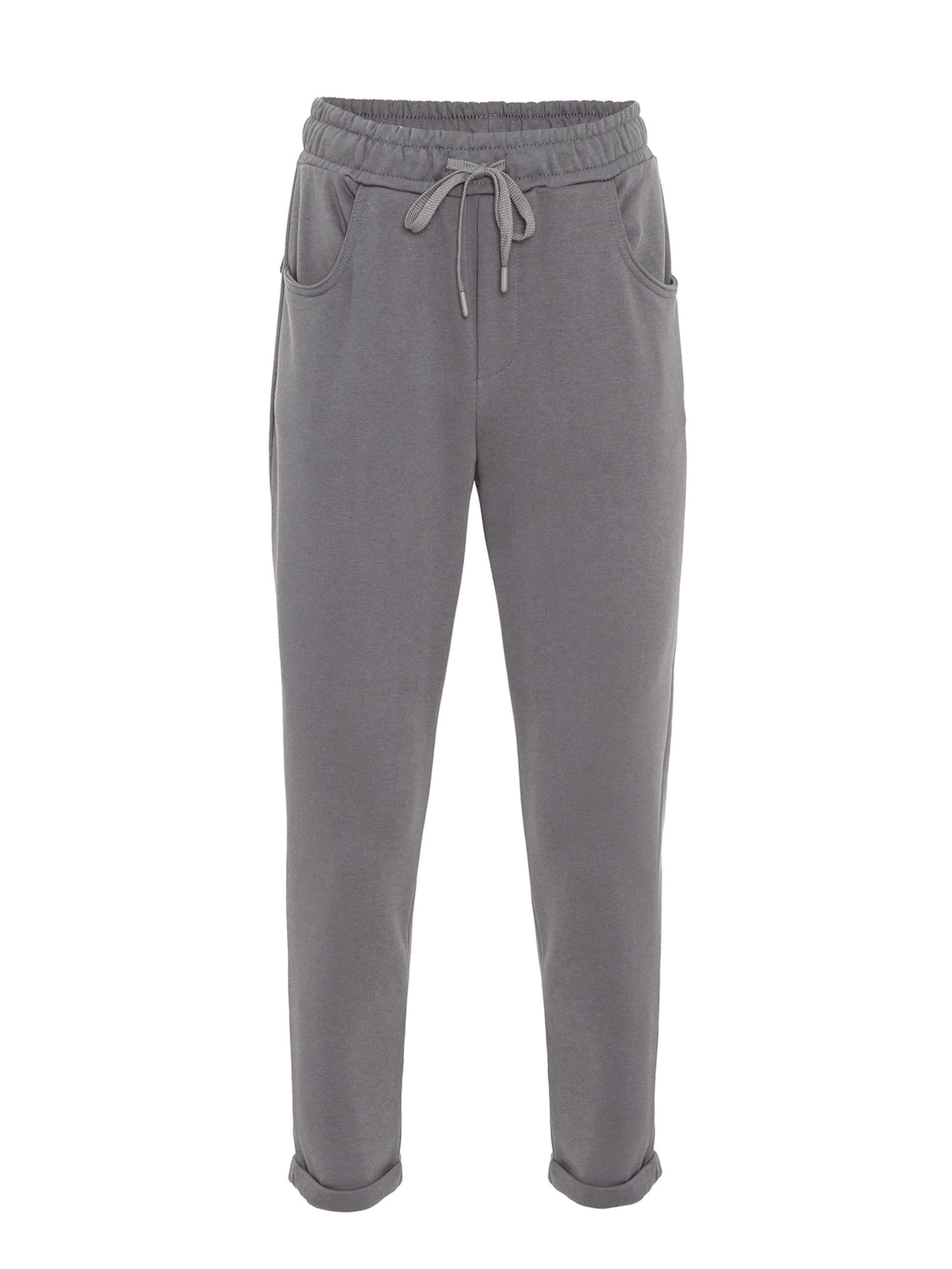 Regular Pantalon Antioch en gris : devant