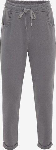 Regular Pantalon Antioch en gris : devant