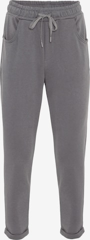 Antioch tavaline Püksid, värv hall: eest vaates