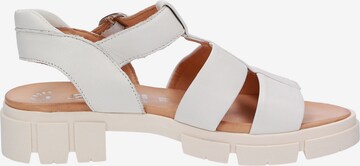 SIOUX Strap Sandals 'Ronila' in White