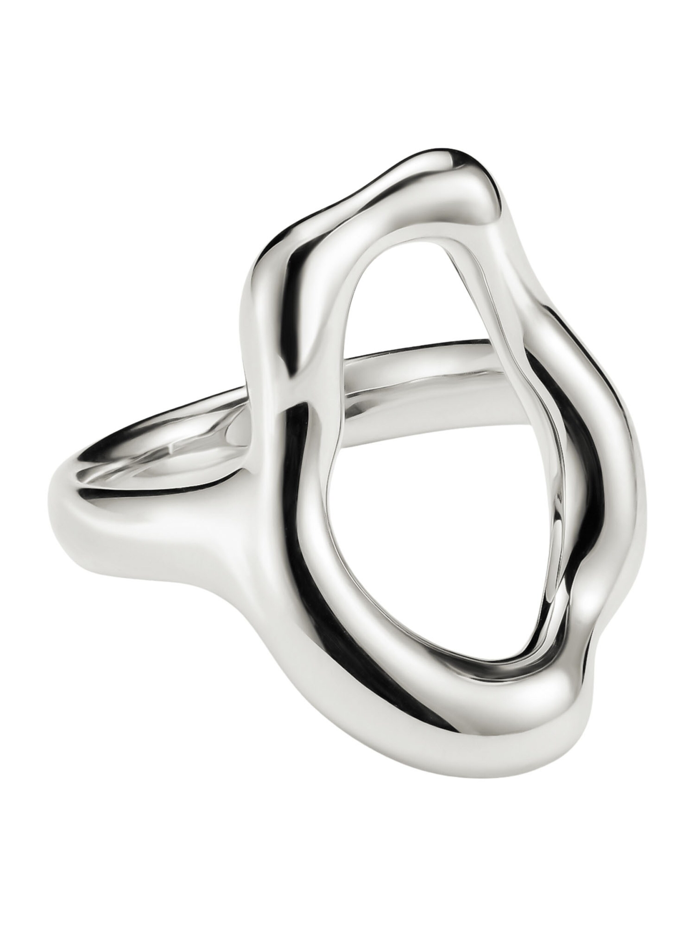 Thomas Sabo Ring in Silber
