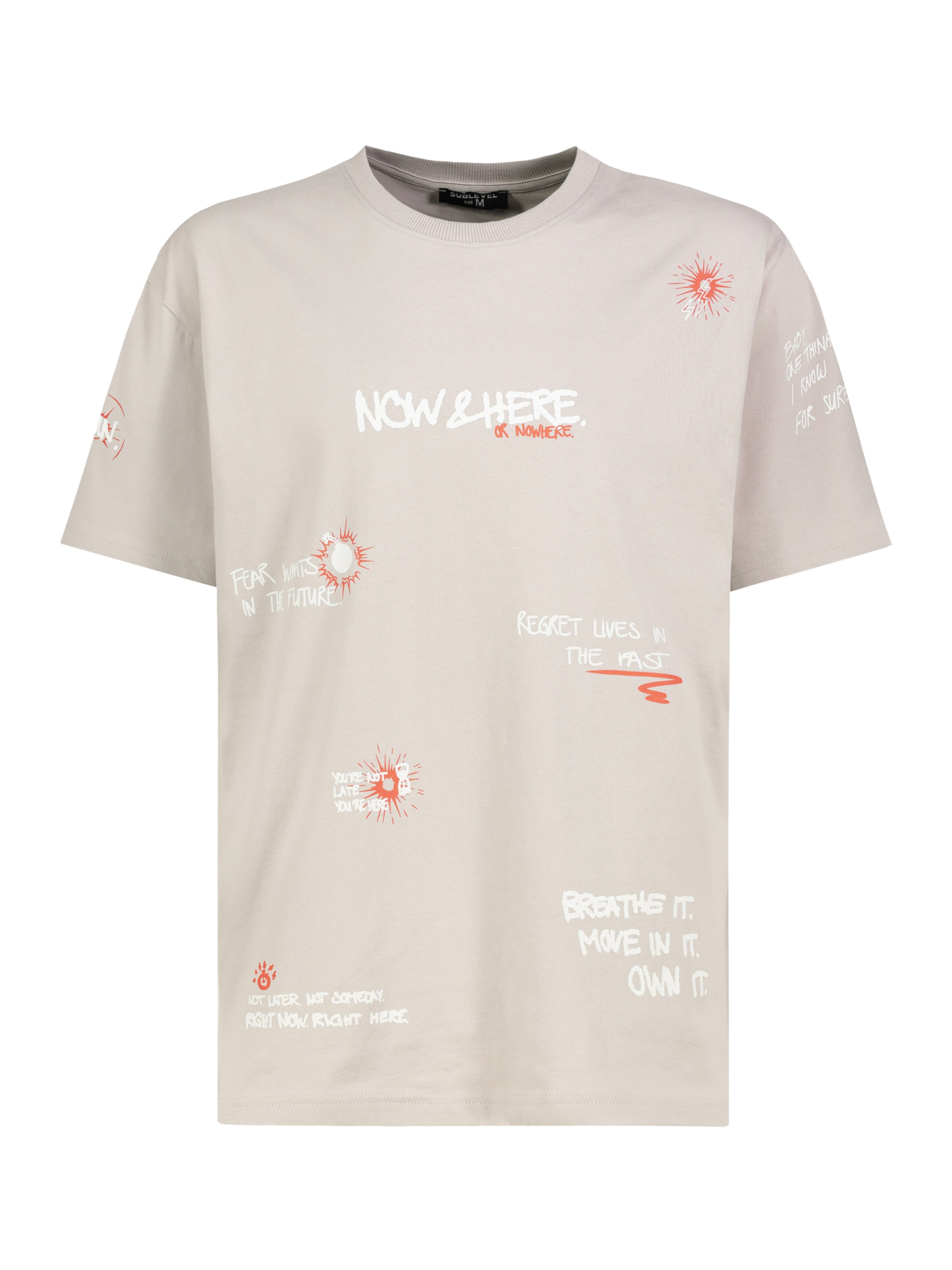 Sublevel T-Shirt in Beige: Vorderseite