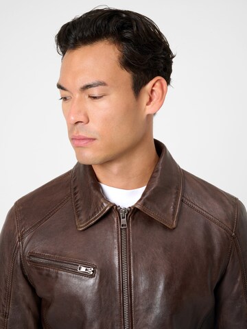 RICANO Tussenjas 'Claude' in Bruin