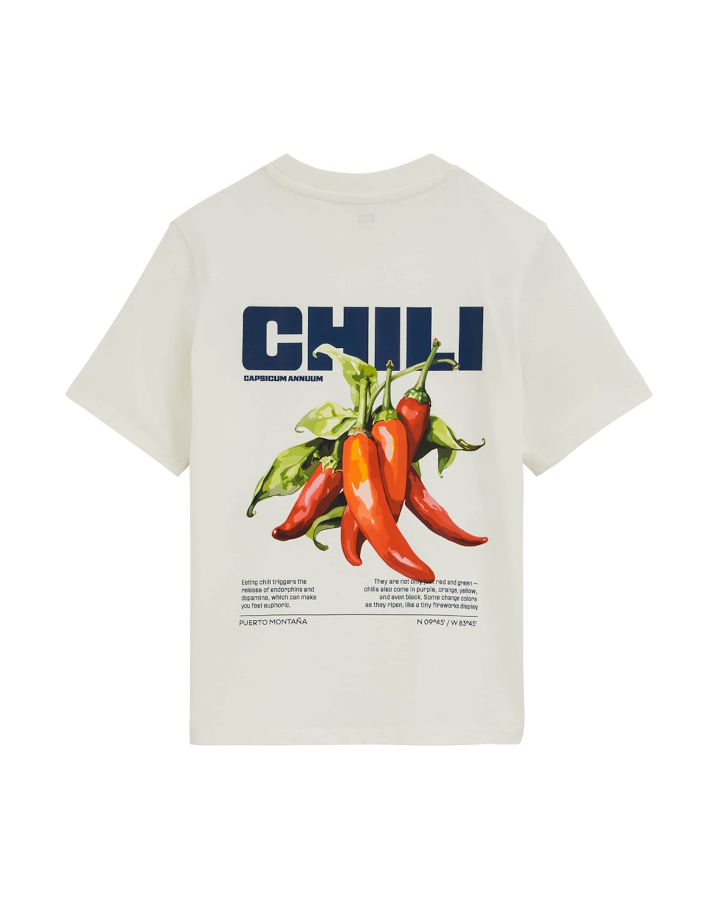 T-Shirt WE Fashion en blanc