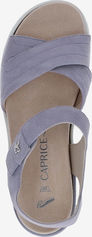 CAPRICE Sandals in Purple