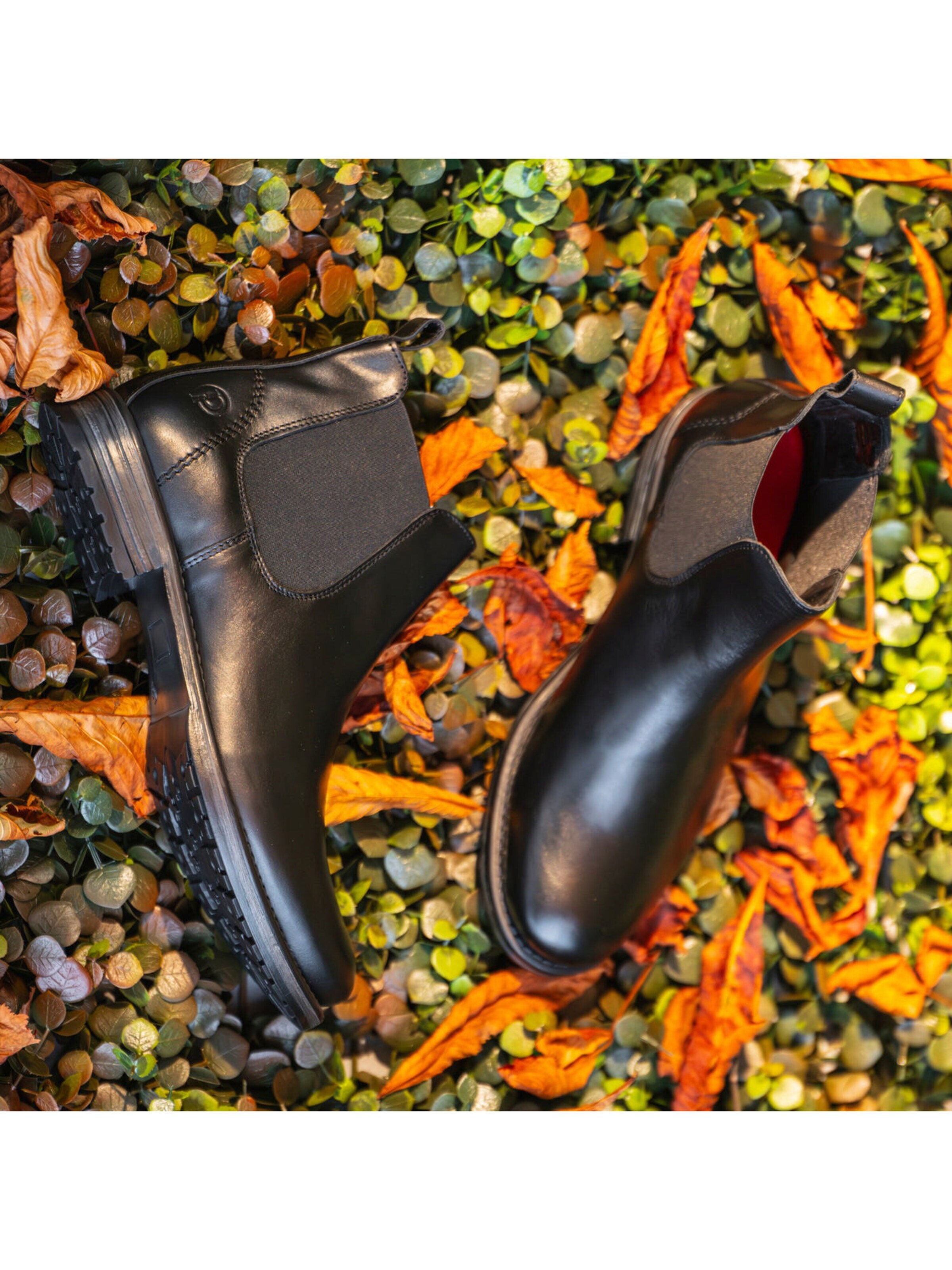 Palado - Botas 'Palado Heidan' en negro