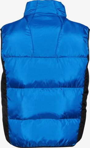 Gilet di SOUTHPOLE in blu