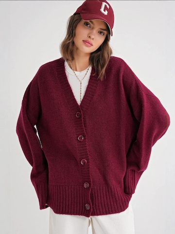 Giacchetta extra large di MixRay in rosso: frontale