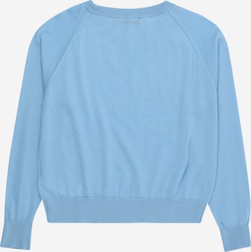 MAX&Co. Sweater in Blue
