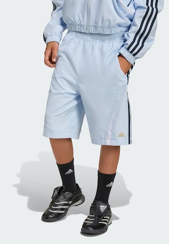 ADIDAS ORIGINALS Loosefit Broek 'Teamgeist' in Blauw: voorkant