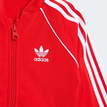 ADIDAS ORIGINALS regular Φόρμα τρεξίματος 'Adicolor' σε κόκκινο