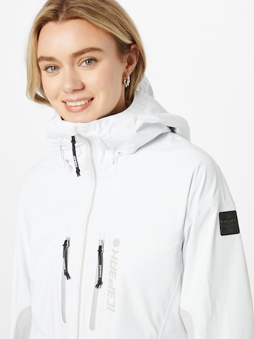 ICEPEAK Куртка в спортивном стиле 'DATTELN' в Серый