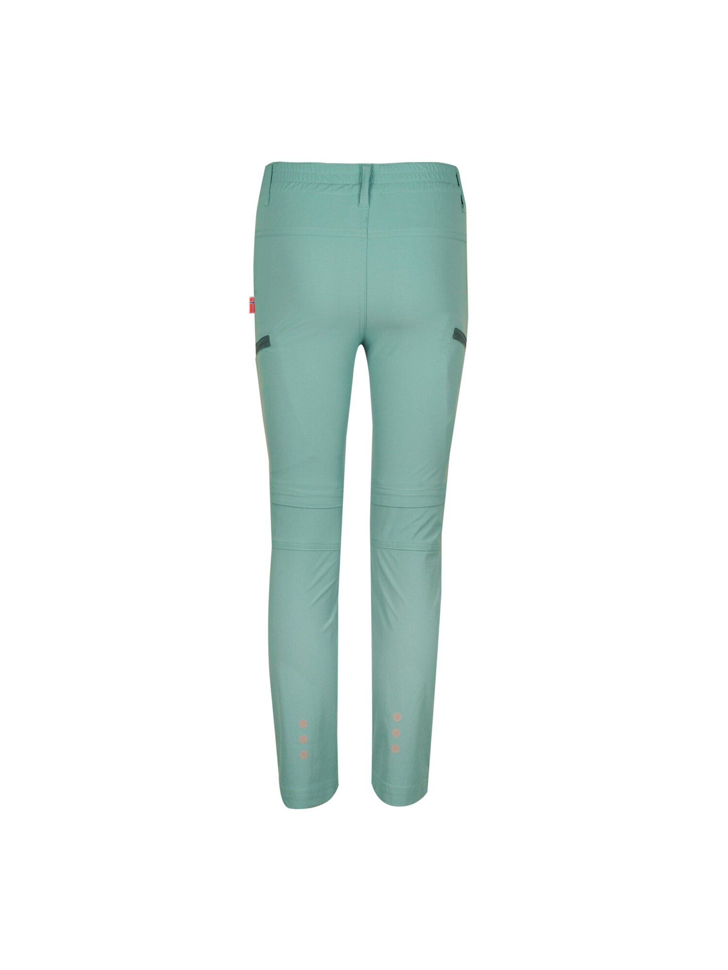 TROLLKIDS Regular Workout Pants in Green