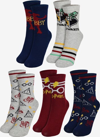 Harry Potter Socken 'Hogwarts' in Mischfarben: Vorderseite