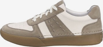 JOSEF SEIBEL Sneaker 'CLAIRE 27' in Braun: Vorderseite