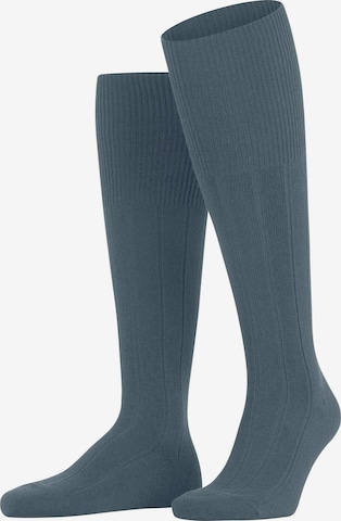 FALKE Knee High Socks 'Lhasa Rib' in Blue: front