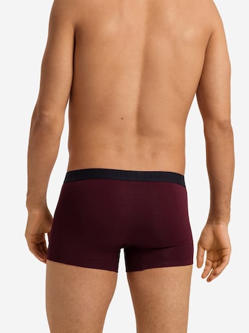 Hanro - Boxers 'Essentials' em azul