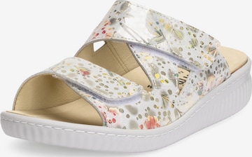 Zoccoletto di VITAFORM in colori misti: frontale