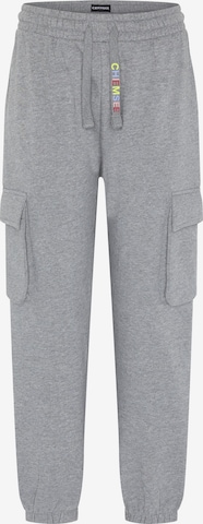 CHIEMSEE Cargo Pants in Grey: front