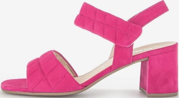 GABOR Sandals in Pink