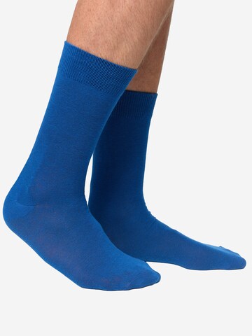 Nur Die Socken in Blau