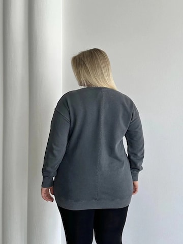 Stil Diva Trui in Grijs