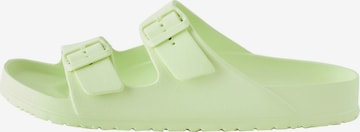 Next Mule in Green: front