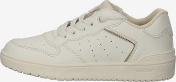 GEOX Sneaker 'Washiba' in Beige