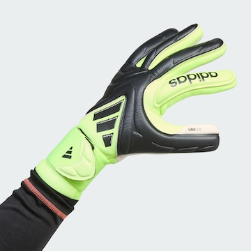 Gants de sport 'Copa Pro' ADIDAS PERFORMANCE en noir