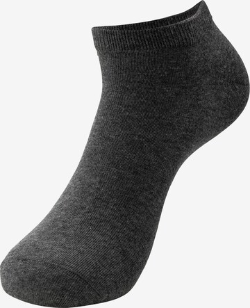 INDICODE JEANS Socks ' Melvin ' in Mixed colors