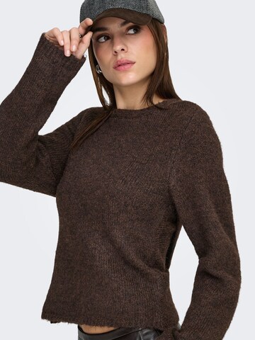 ONLY Sweater 'ONLZAGGIE' in Brown