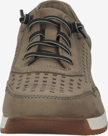 FRETZ MEN Sneakers in Brown