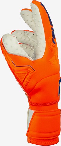 REUSCH Athletic Gloves 'Attrakt Freegel SpeedBump' in Orange