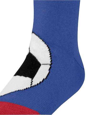 FALKE Socks 'Active Soccer' in Blue