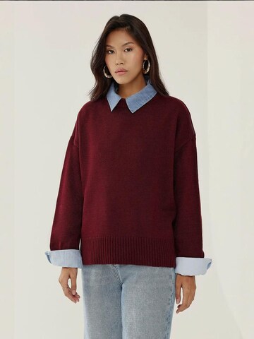 Hiccup - Pullover em vermelho: frente